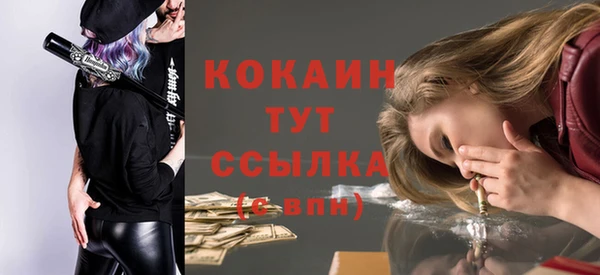 индика Армянск