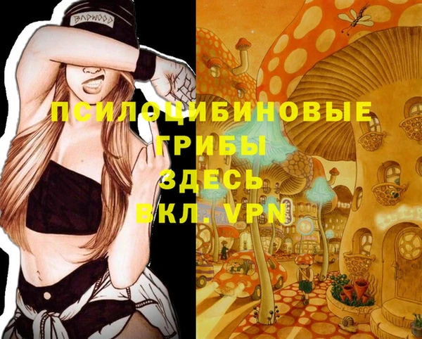 PSILOCYBIN Арсеньев
