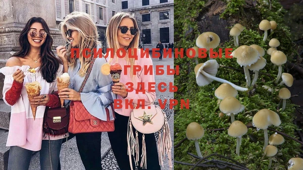 PSILOCYBIN Арсеньев