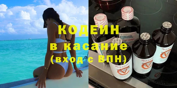 индика Армянск