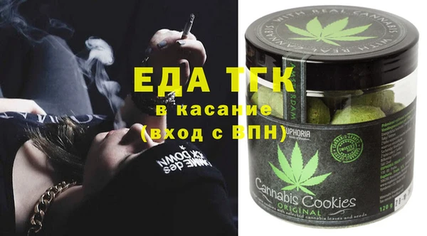индика Армянск
